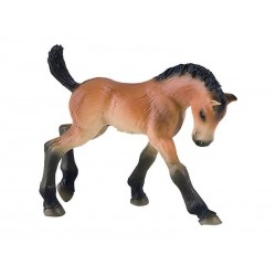 ANIMAUX DE LA FERME PM